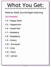 Load image into Gallery viewer, Pregnancy Checklists Planner &amp; Journal Pregnancy Tracker Printable Set - The Bea &amp; Charlie Paper Shop
